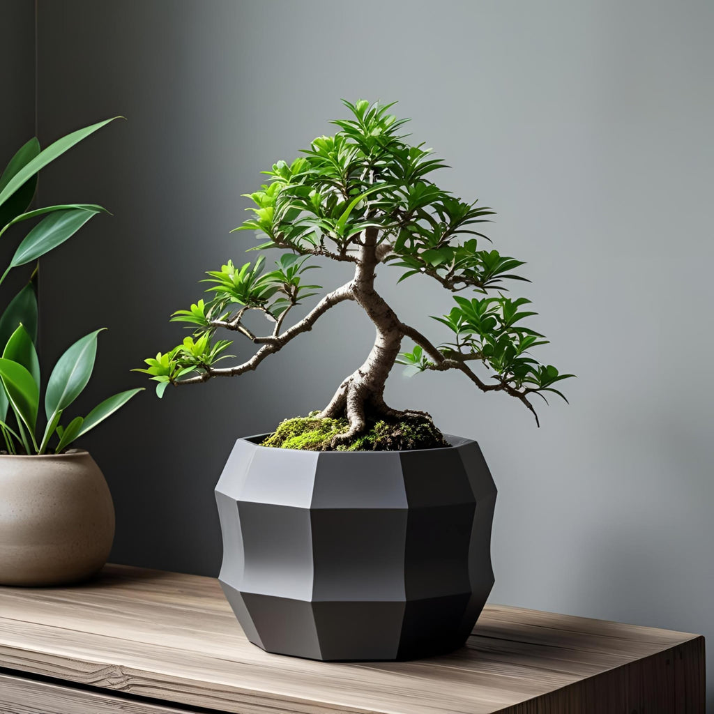 Decagonal Shaped Geometric Flower Pot