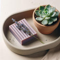 Soap Holder