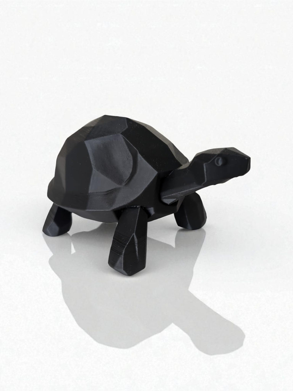 Tortoise Sculpture