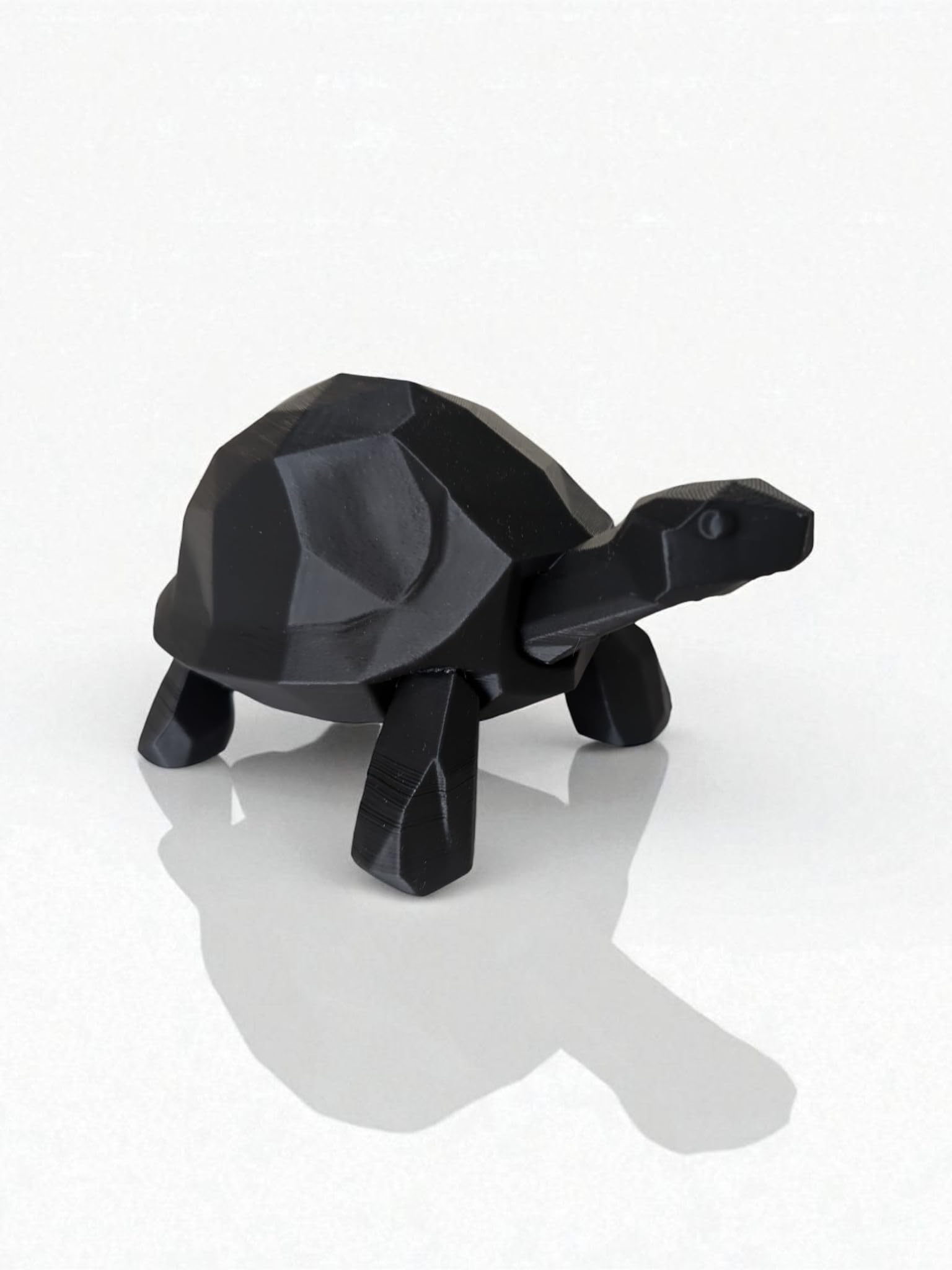 Tortoise Sculpture