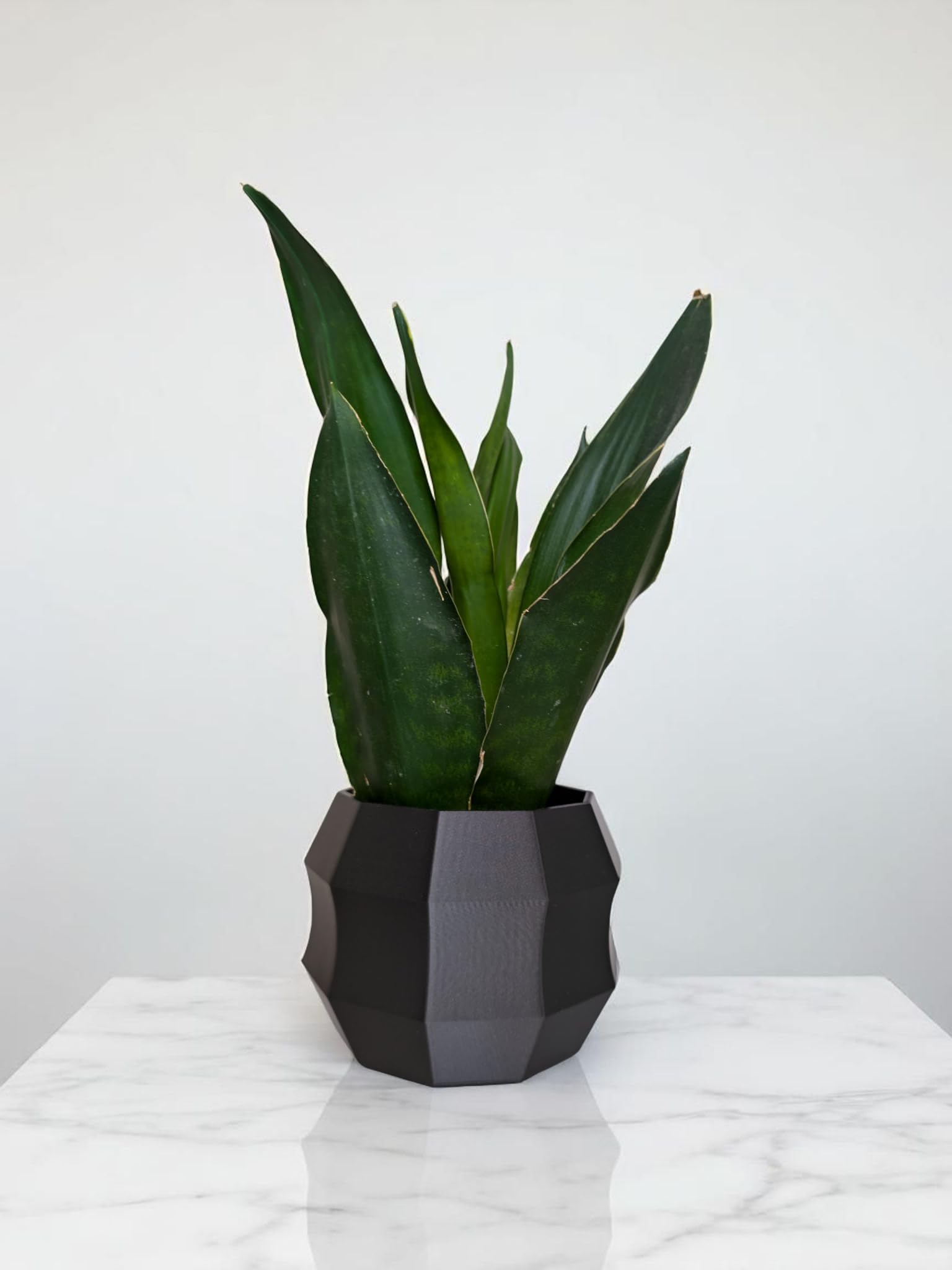 Decagonal Shaped Geometric Flower Pot