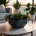 Hexagonal Shaped Flower Pot